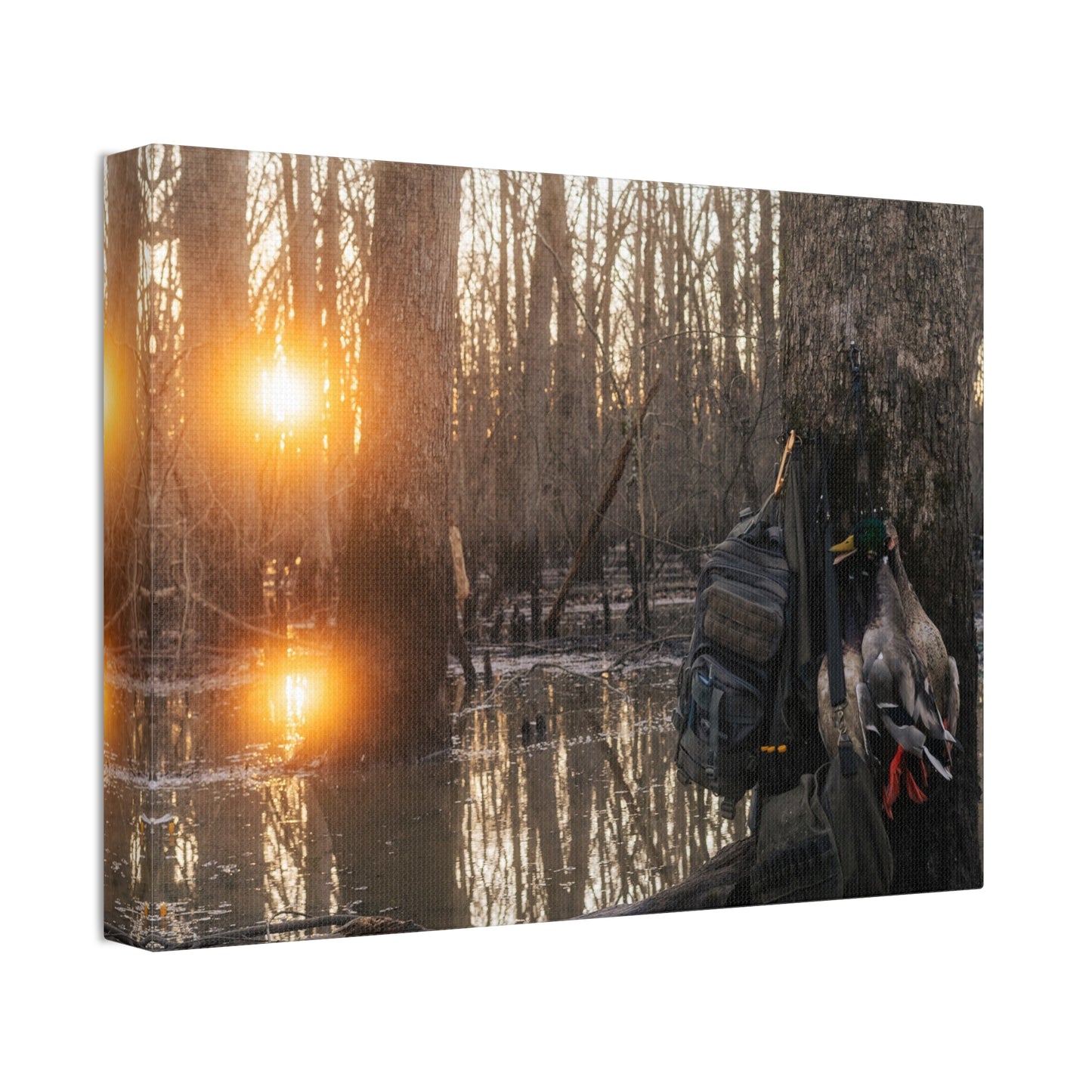 Hardwood Sunrise Canvas