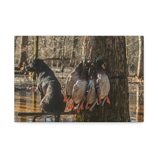 Black Dogs and Mallard Ducks Canvas