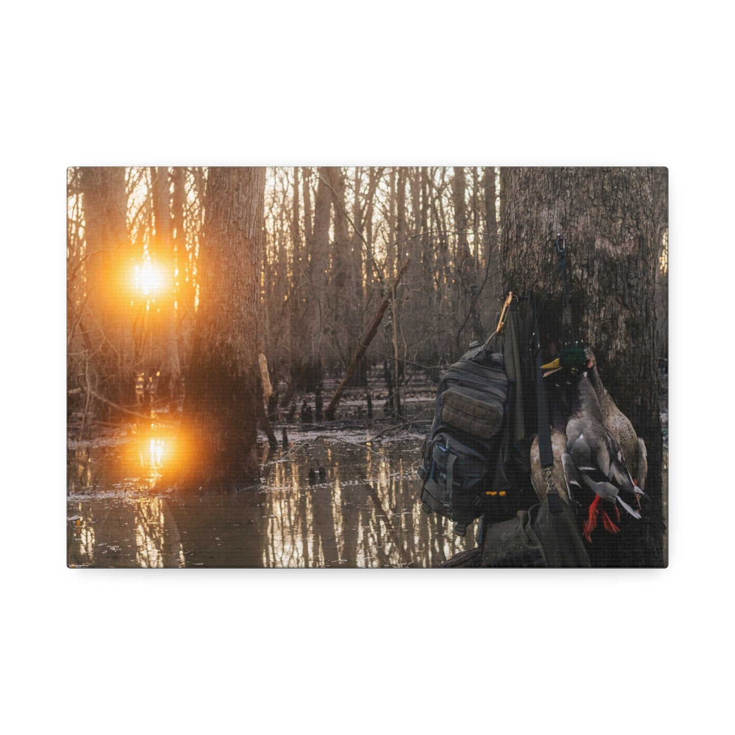 Hardwood Sunrise Canvas