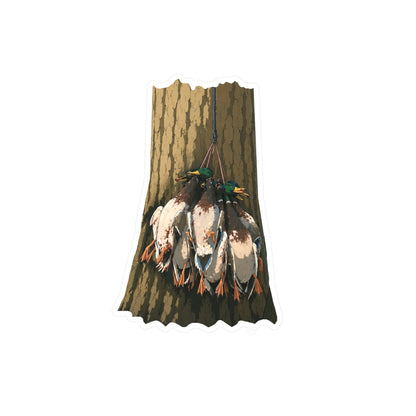 Mallards Decal